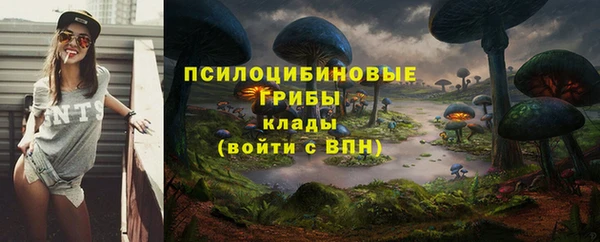 spice Баксан