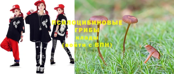 spice Баксан