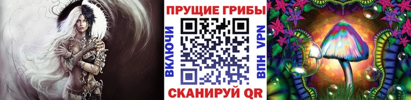 что такое   Ясногорск  мега маркетплейс  Галлюциногенные грибы прущие грибы 