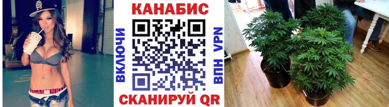 mega маркетплейс  Ясногорск  дарк нет телеграм  Конопля план 